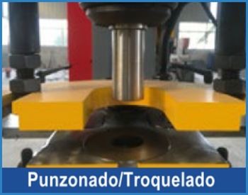 Función 5 - FlexMax México